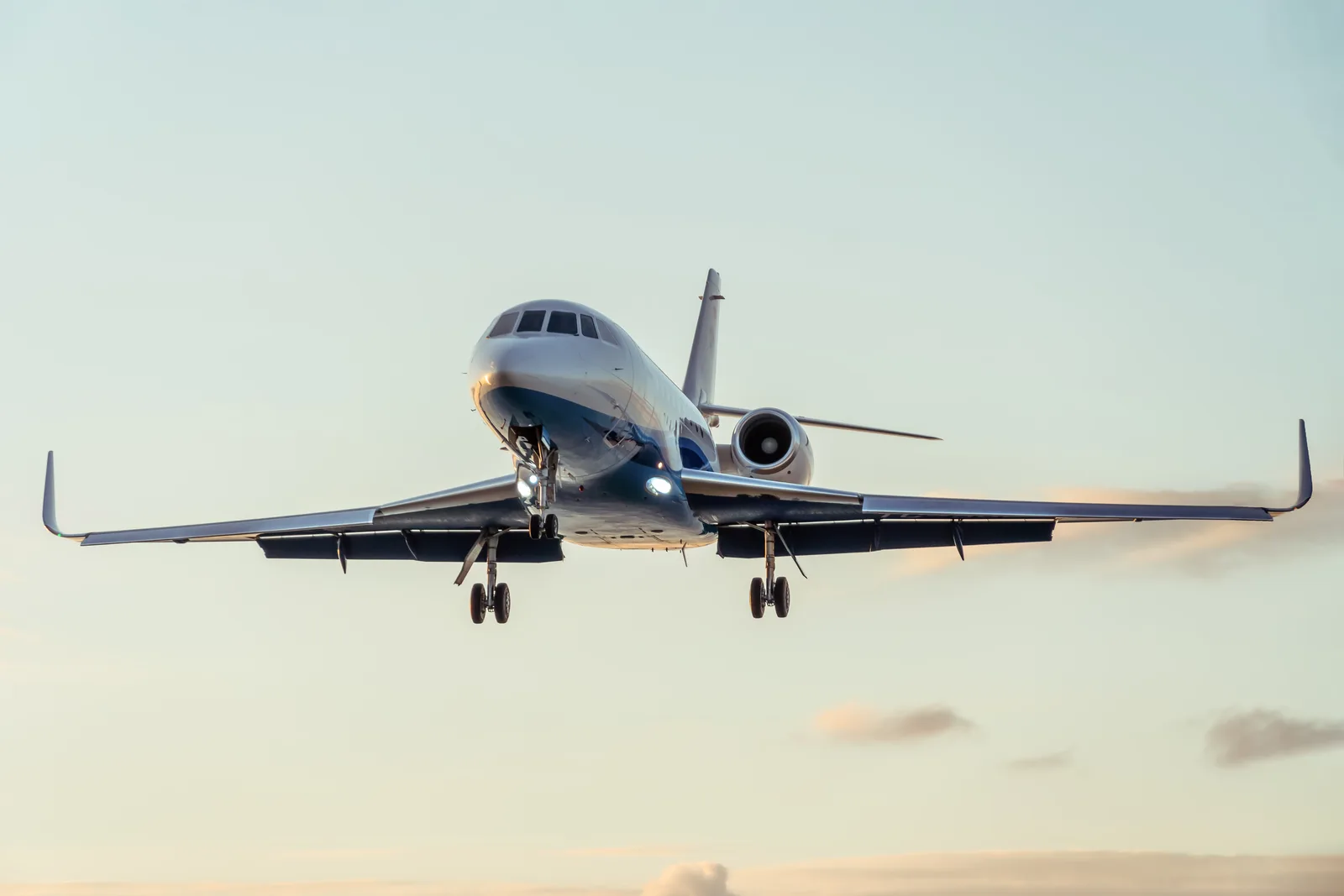 Can you bring pets on a private jet?