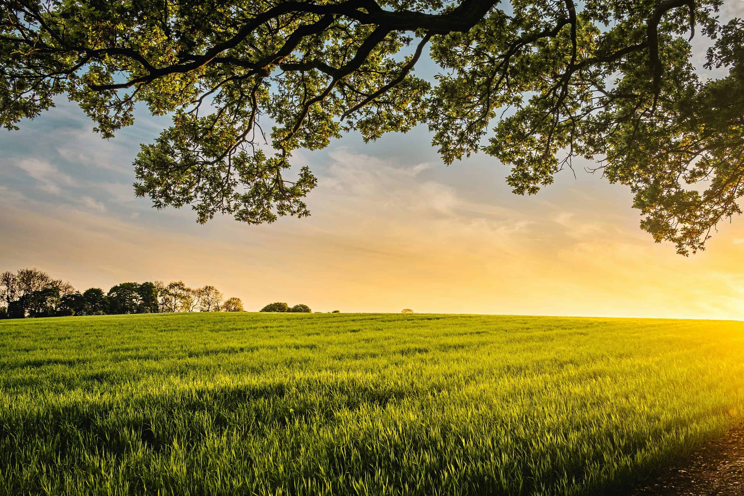 Strategic Land Investment: The Smart Money’s Guide to UK Land Financing
