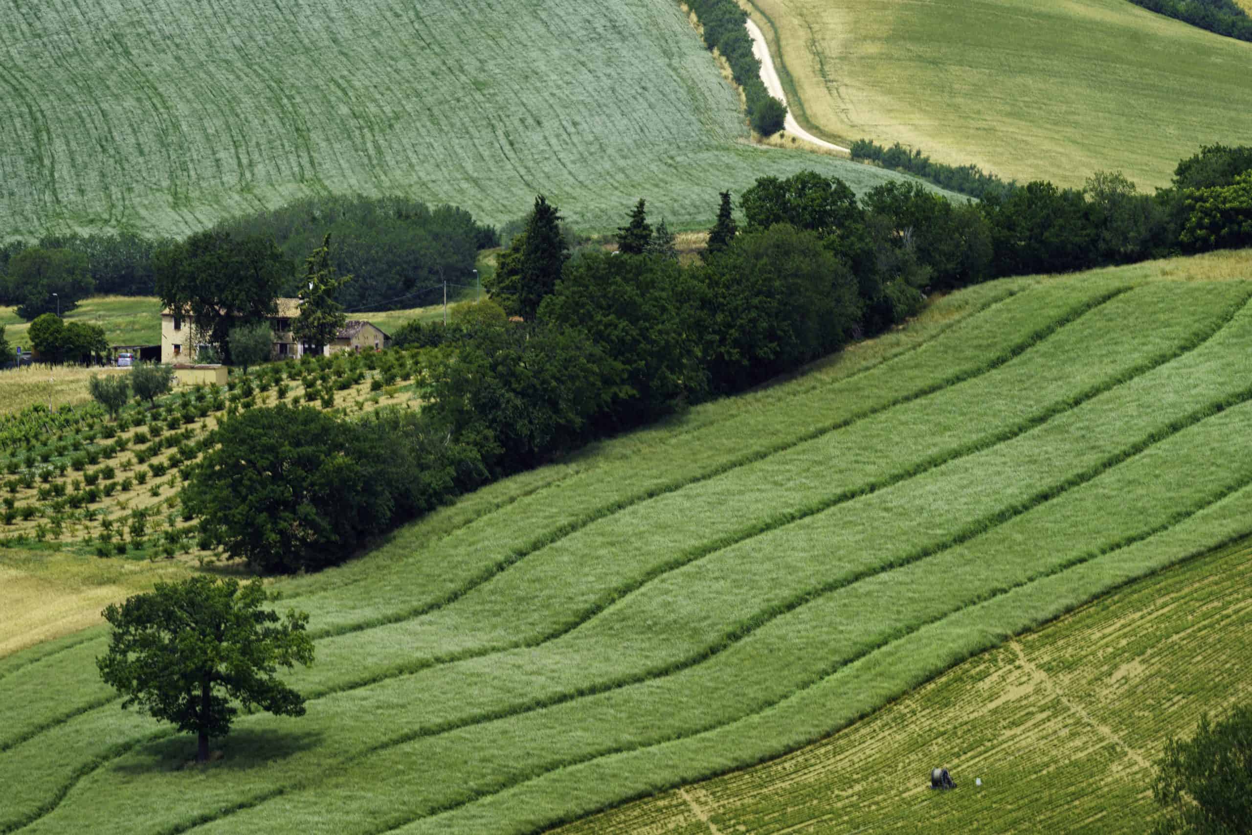 How to Finance Eco-Developments and Sustainable Land Projects in the UK