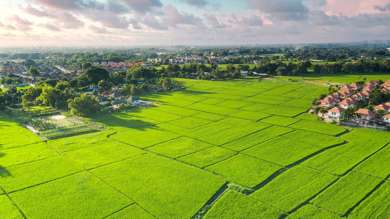 What Lenders Look for in UK Land-Only Finance Applications?