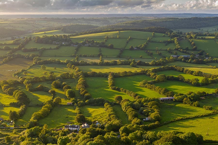 Farm Land Loan Structured for an Asset-Rich Rural Landowner